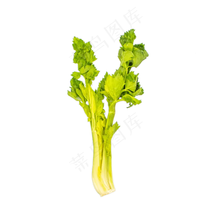 绿色芹菜蔬菜(2000X2000(DPI:300))