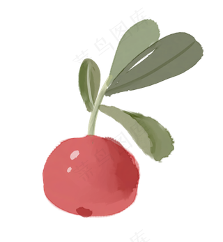 水彩手绘小清新果子