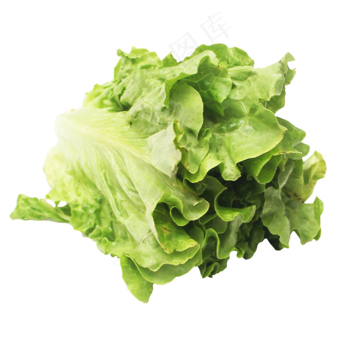 食材蔬菜生菜(2000X2500(DPI:299))