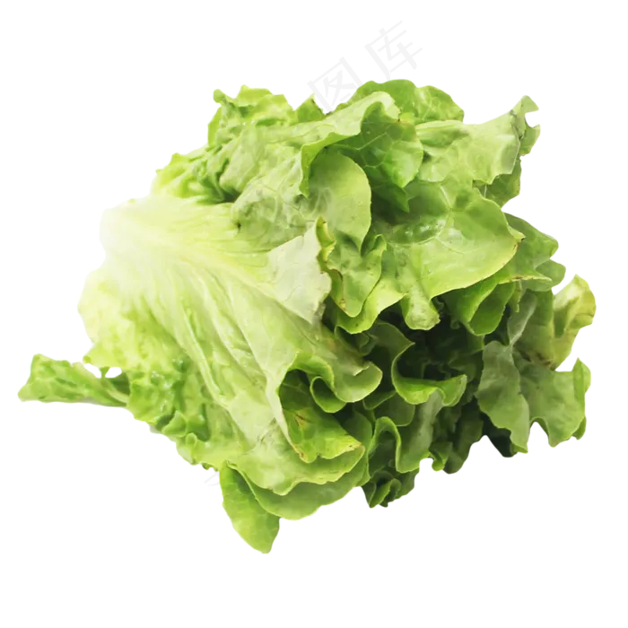 食材蔬菜生菜(2000X2500(DPI:299))
