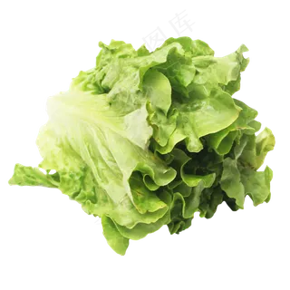 食材蔬菜生菜