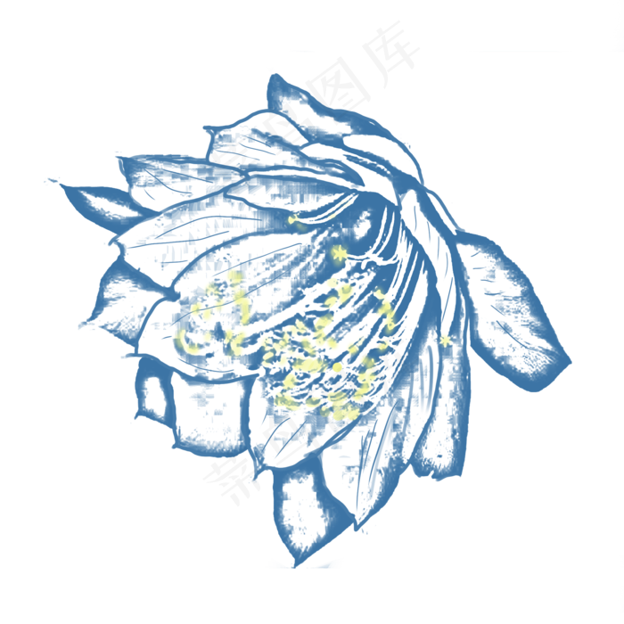 青花风昙花素材(2000X2000(DPI:300))psd模版下载