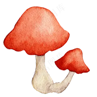 水彩秋日红色蘑菇
