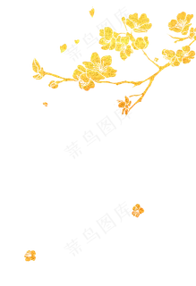 金色腊梅梅花 金色腊梅梅花