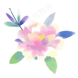 唯美水彩花草花开 唯美水彩花草花开