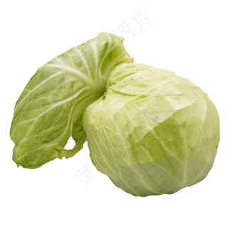 绿色蔬菜包菜