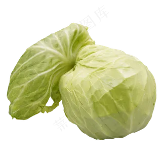 绿色蔬菜包菜