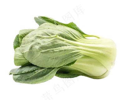 油菜蔬菜菠菜 油菜蔬菜菠菜