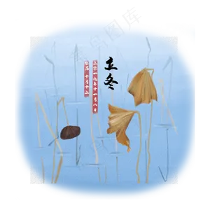 立冬荷塘枯荷节气