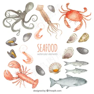 水彩海鲜系列