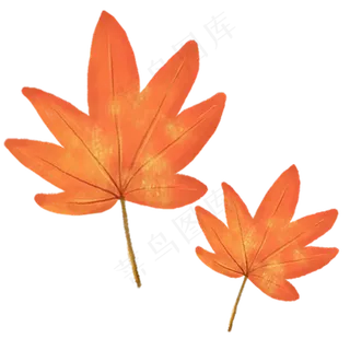 卡通红了的枫叶免抠图