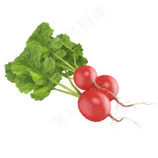 立体蔬菜红萝卜