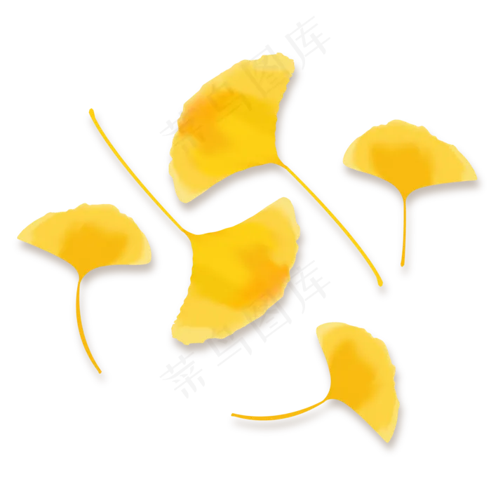 黄色银杏叶(2000*2000px 300 dpi )ai矢量模版下载
