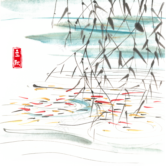 立秋池塘里的鱼(4724X4724(DPI:300))psd模版下载