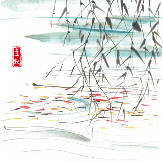 立秋池塘里的鱼