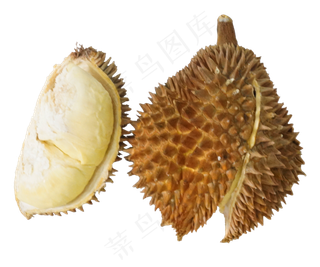 美食水果榴莲