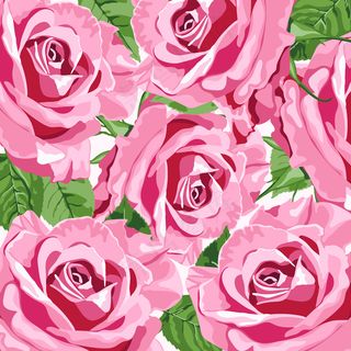 婚礼请柬的亮粉色玫瑰花卉背景