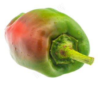 绿色菜辣椒蔬菜