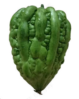 苦瓜 无背景 苦瓜 无背景