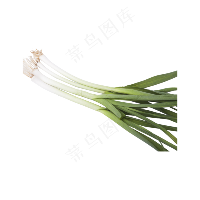 大葱实物拍摄（png免抠）