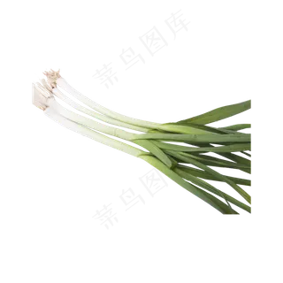 大葱实物拍摄(png免抠) 大葱实物拍摄(png免抠)