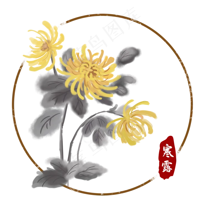 寒露节气中国风菊花(2000X2000(DPI:300))psd模版下载