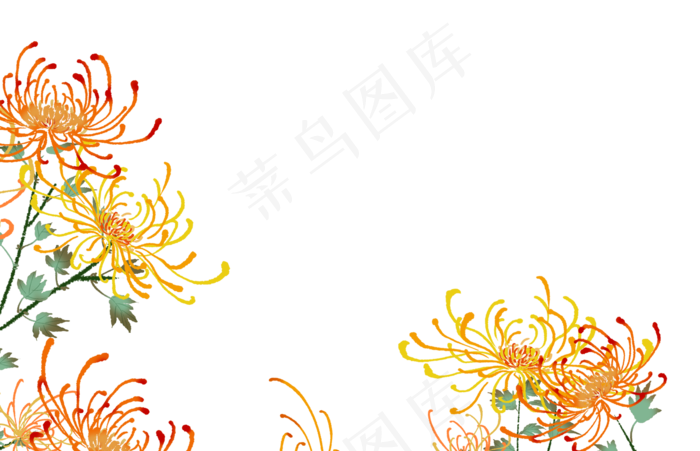 重阳节中国风传统节日菊花(1482X954(DPI:300))psd模版下载