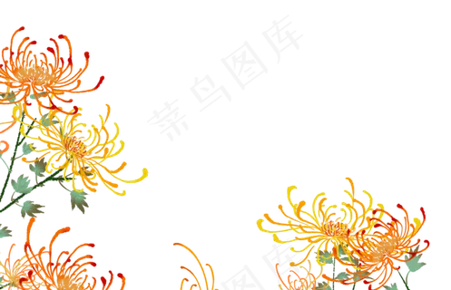 重阳节中国风传统节日菊花