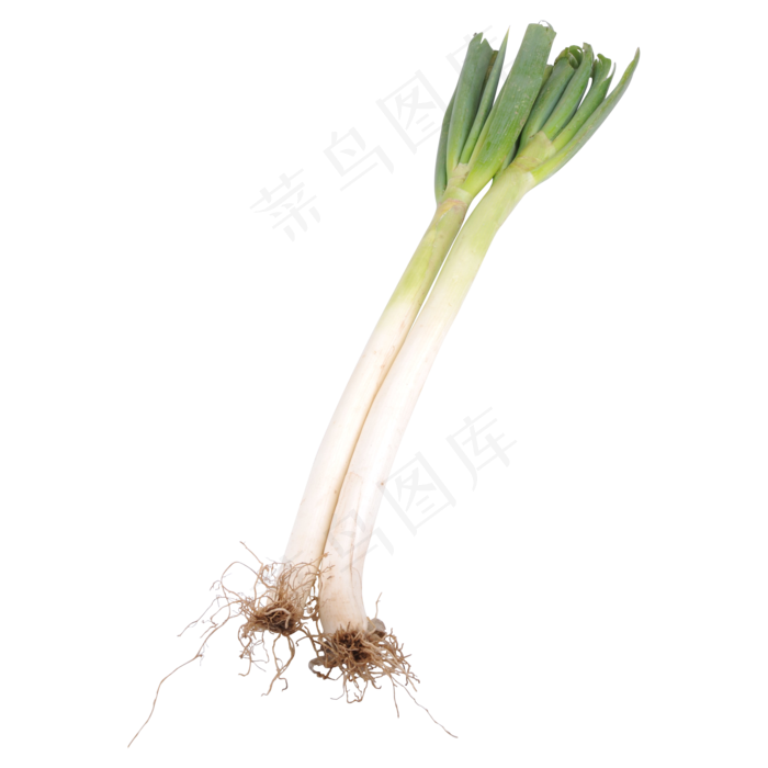 绿色大葱食物元素