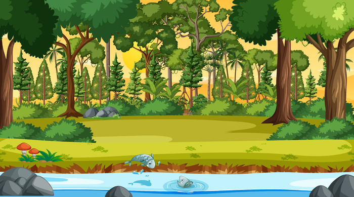 河流在日落时分穿过森林场景