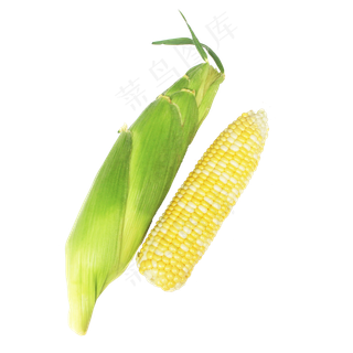 珍珠玉米蔬菜