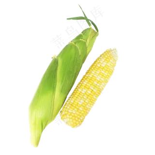 珍珠玉米蔬菜 珍珠玉米蔬菜