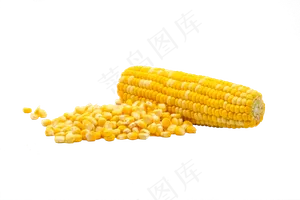 秋天黄色玉米粒
