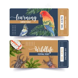 昆虫和鸟票与蓝松鸦，臭虫，太阳康奈尔水彩画插图。