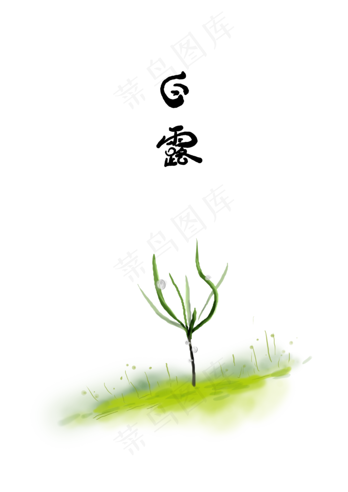 白露叶子上的露珠