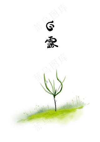 白露叶子上的露珠