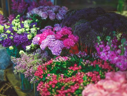 花店里摆满了各种各样的花