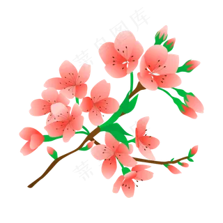 树枝梅花开了 树枝梅花开了
