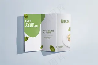 平铺小册子概念模型样机