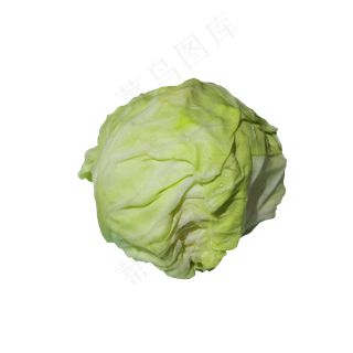 绿色新鲜包菜