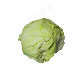 绿色新鲜包菜
