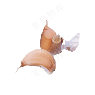 大蒜实拍（png免抠）