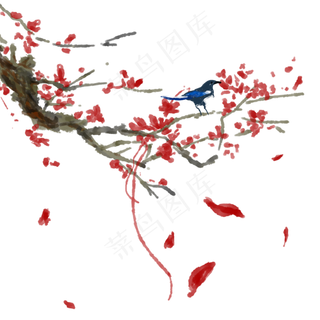 冬天腊梅红色雀上枝头丝带