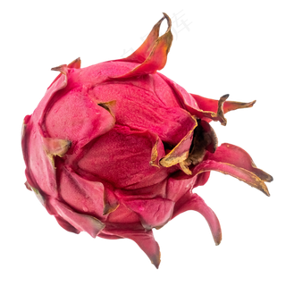 水果红心火龙果