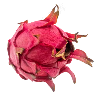 水果红心火龙果