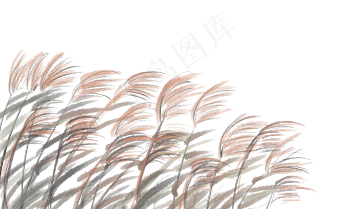 寒露芦苇秋季(1846X1108(DPI:300))psd模版下载