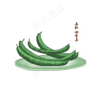 豆角立秋四季豆