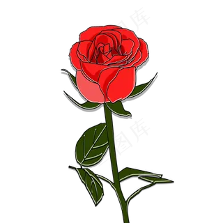 浪漫红色玫瑰花花朵花卉