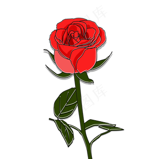 浪漫红色玫瑰花花朵花卉