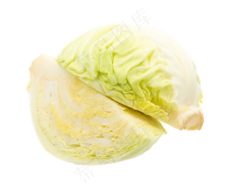 绿色切开包菜